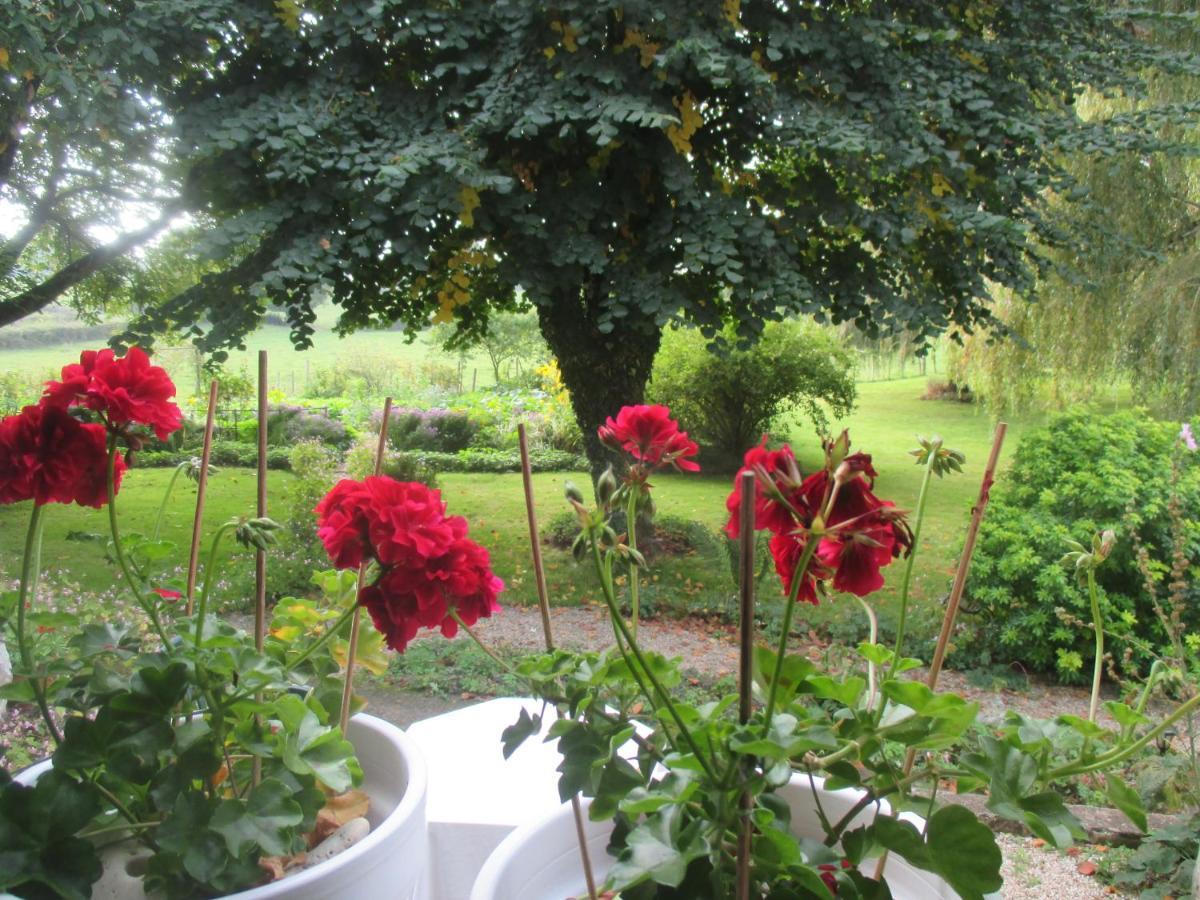 La Maison Pres Du Ruisseau Holiday home *
